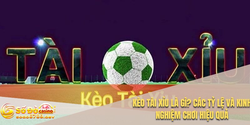 Kèo Tài Xỉu Là Gì? Các Tỷ Lệ Và Kinh Nghiệm Chơi Hiệu Quả 1 Kèo tài xỉu