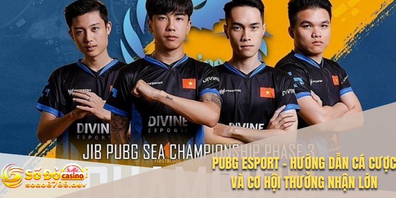 PUBG Esport